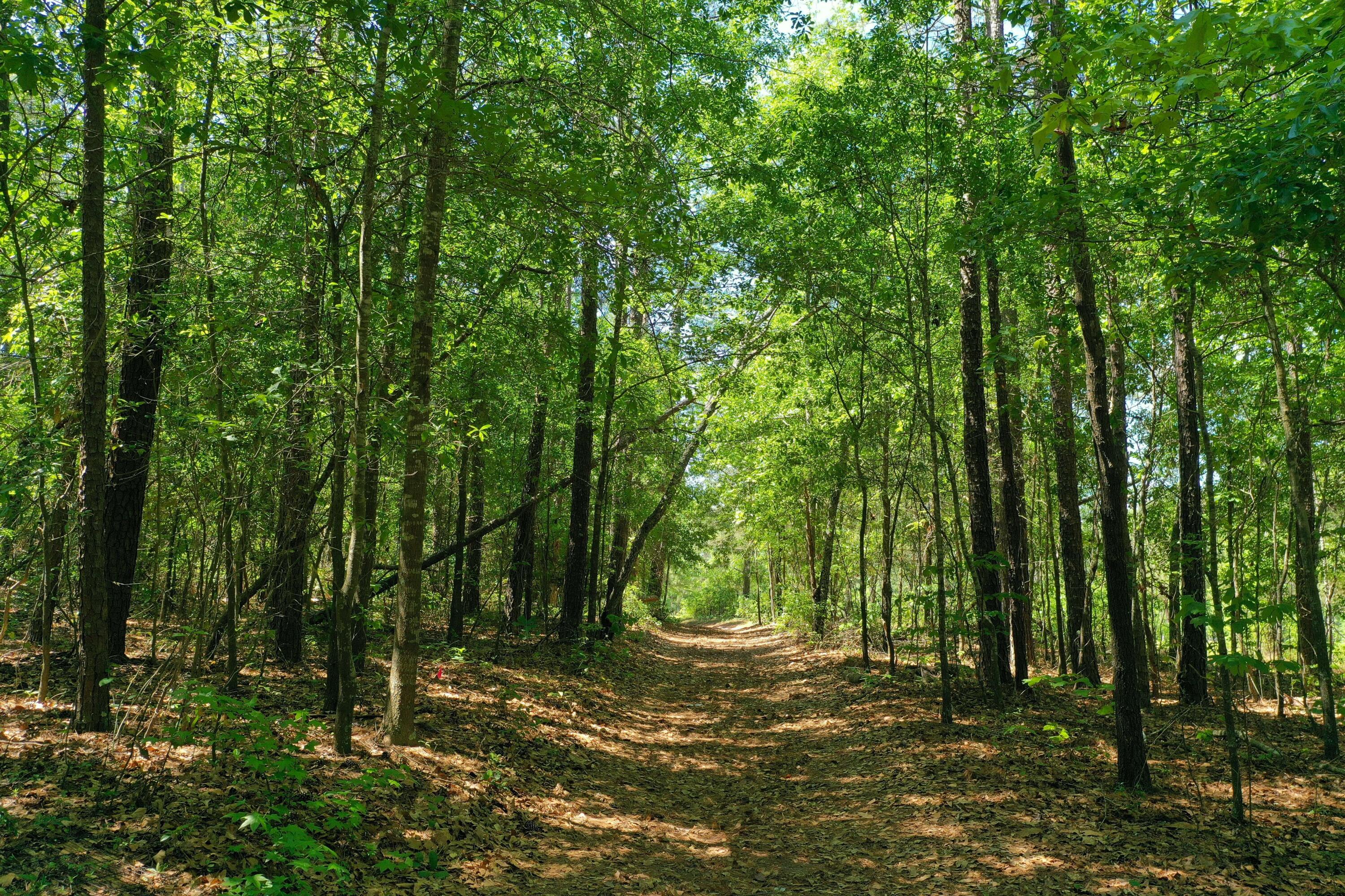 0 McCain Road North Augusta, SC 29860 - Photo 2 of 7