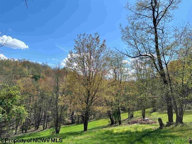 Tbd Porterfield Road Philippi, WV 26416 - Photo 2 of 6 Gallery Image 2