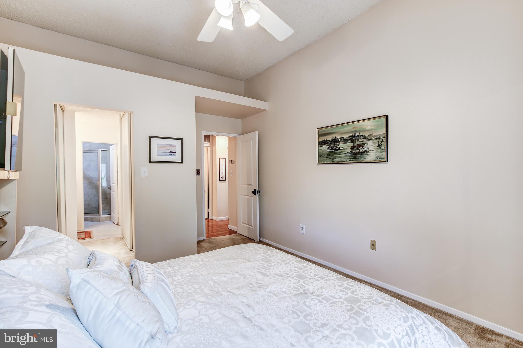 11049 Villaridge Court Reston, VA 20191 - Photo 21 of 29 Master Bedroom