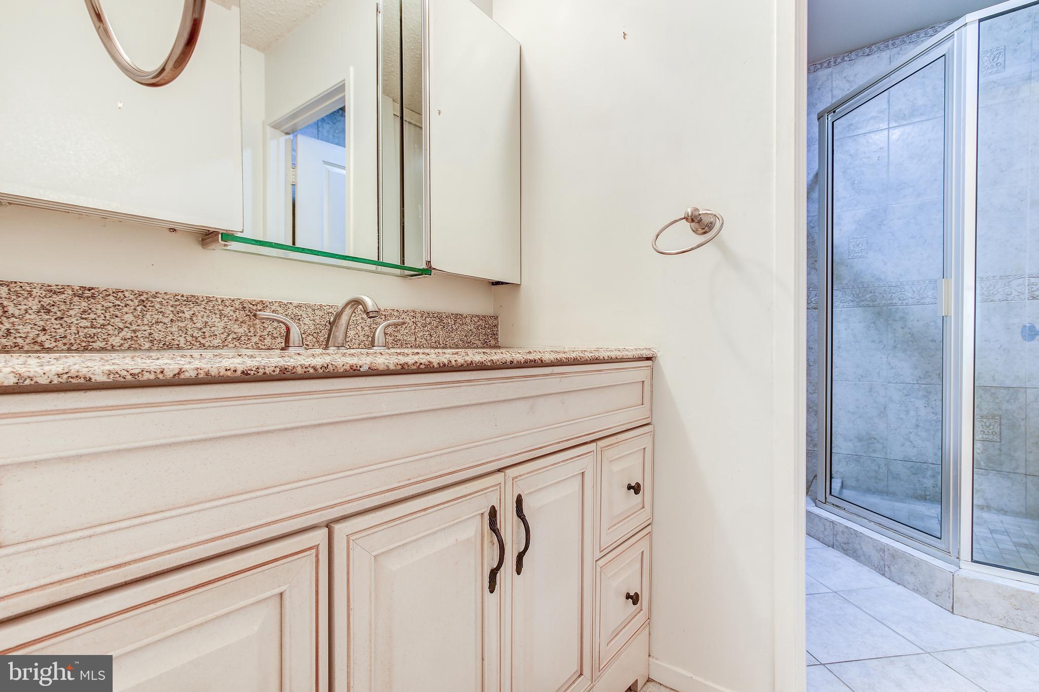 11049 Villaridge Court Reston, VA 20191 - Photo 22 of 29 Master Bathroom