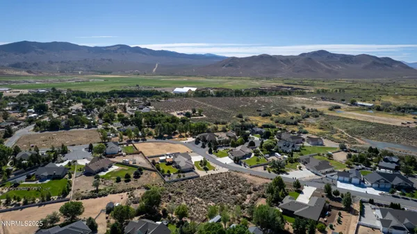 view of a yard with plants