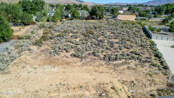 a view of a dry yard with green space