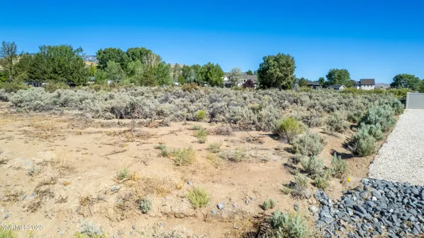 a view of a bunch of trees in a field