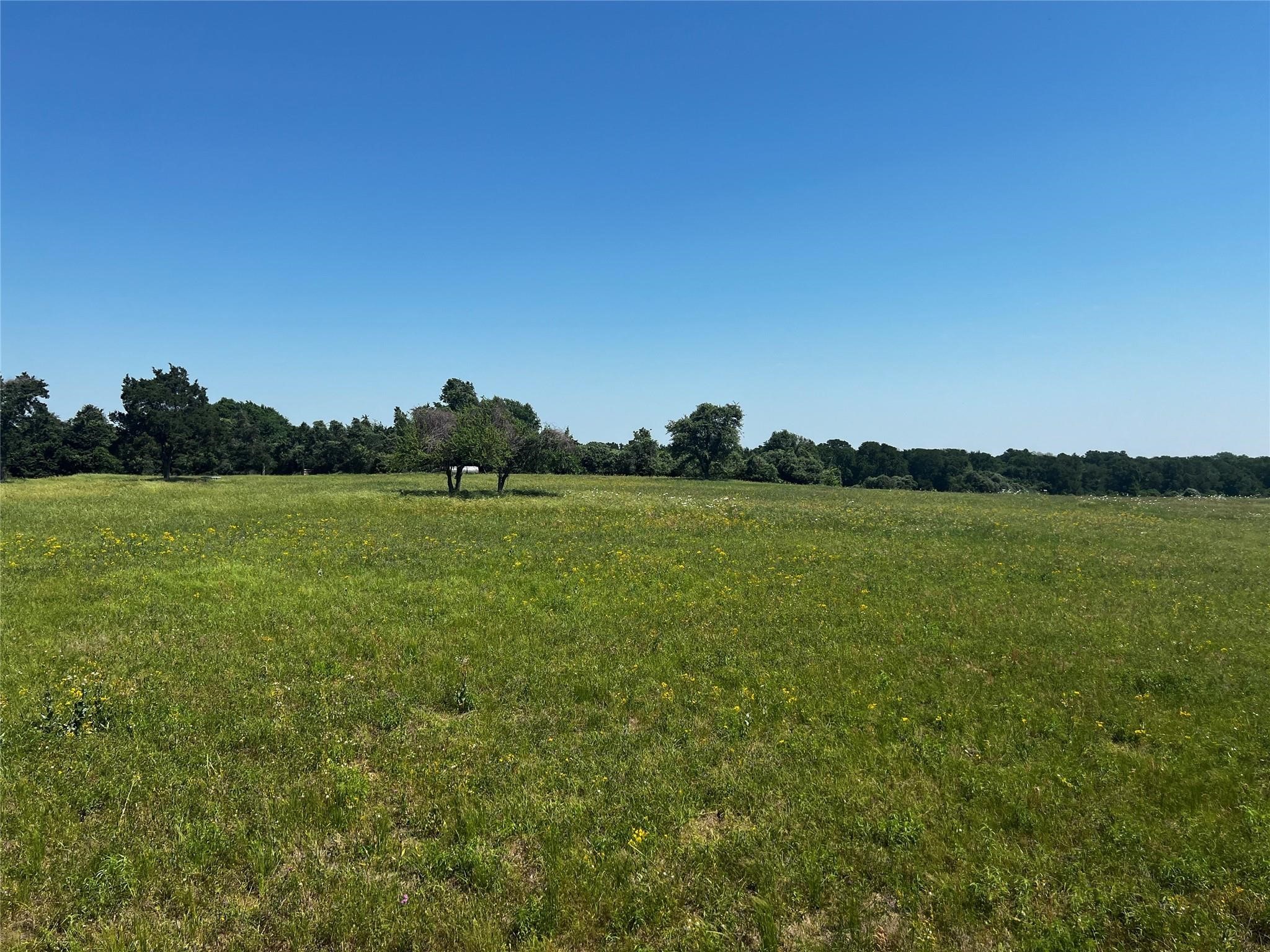 0 Meyer Road Sealy, TX 77474 - Photo 12 of 14 a view of a lake and a yard