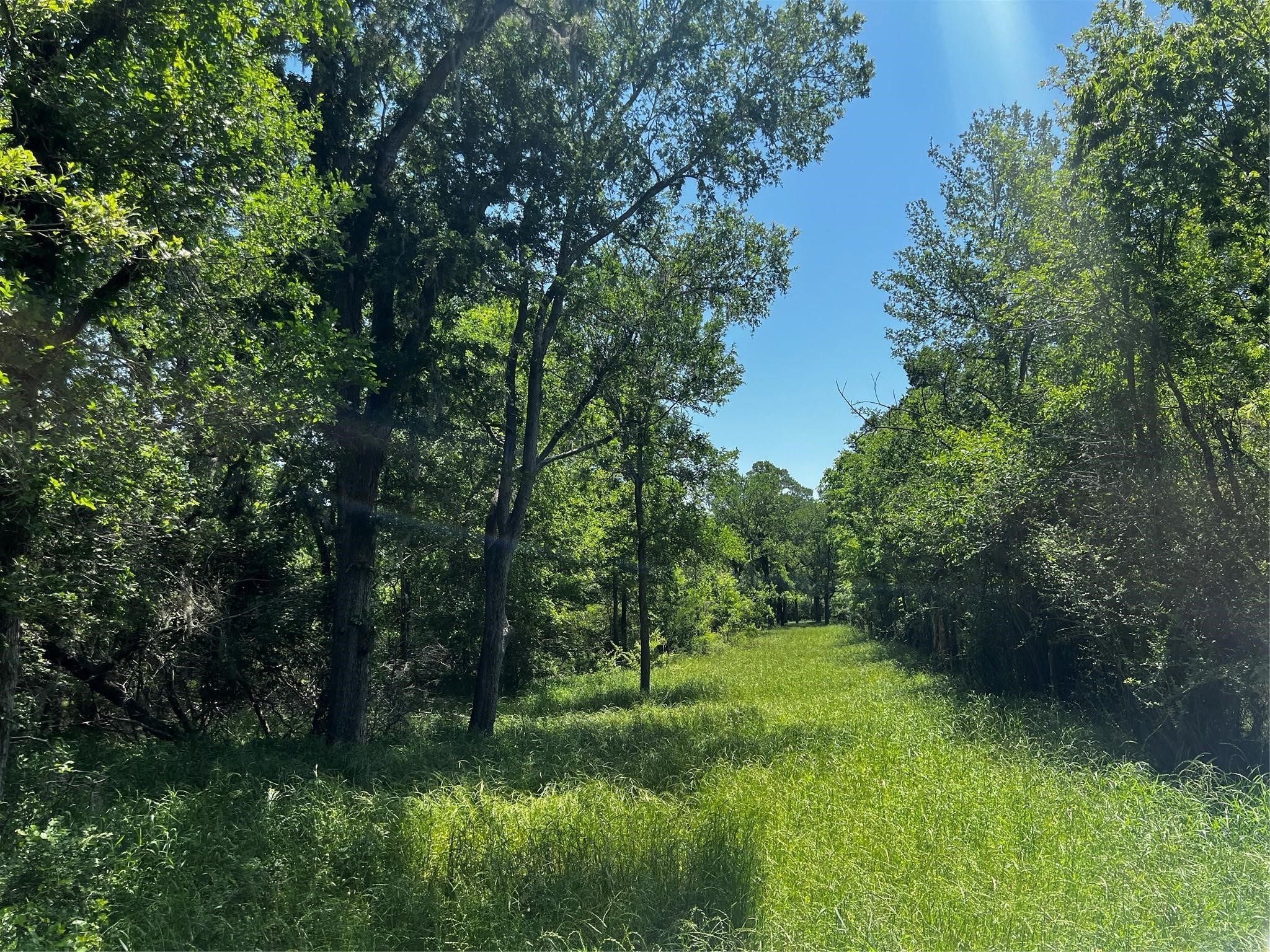 0 Meyer Road Sealy, TX 77474 - Photo 2 of 14 a view of outdoor space and yard