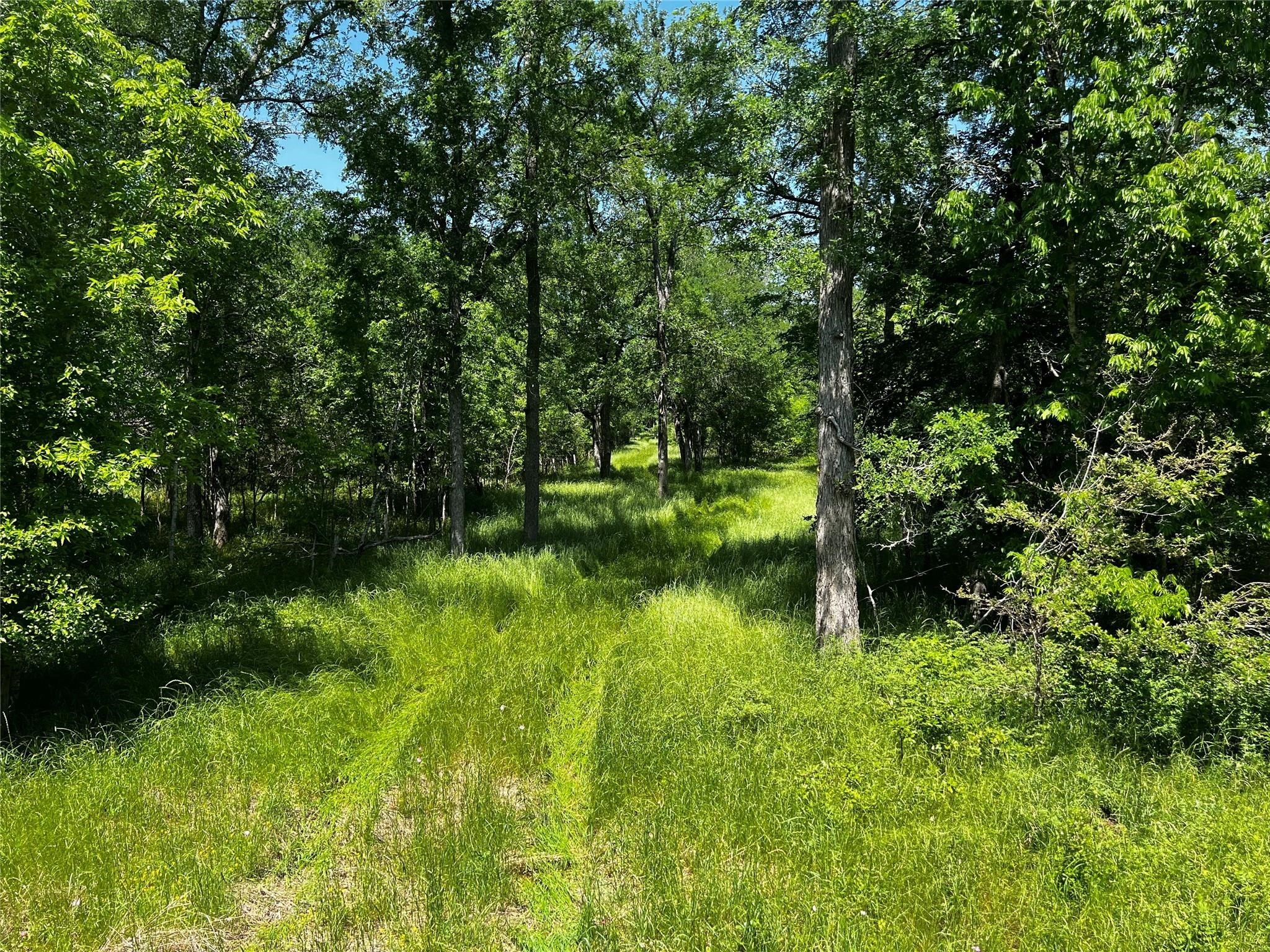 0 Meyer Road Sealy, TX 77474 - Photo 5 of 14 a view of lake with green space