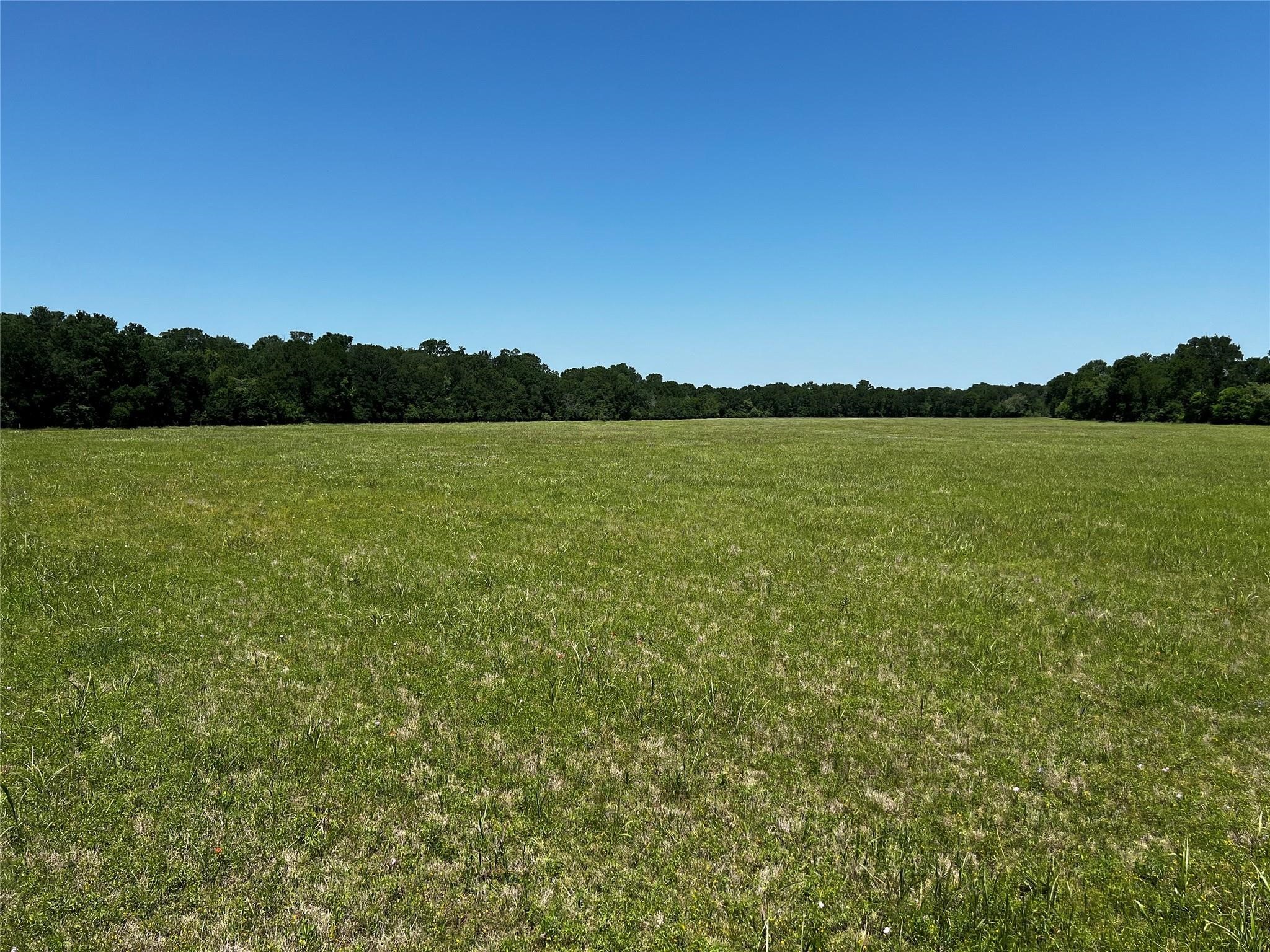 0 Meyer Road Sealy, TX 77474 - Photo 7 of 14 a view of an ocean and beach