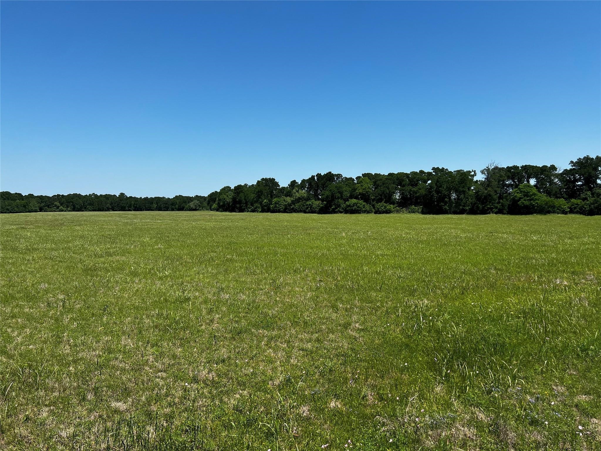 0 Meyer Road Sealy, TX 77474 - Photo 8 of 14 a view of a field with an ocean view