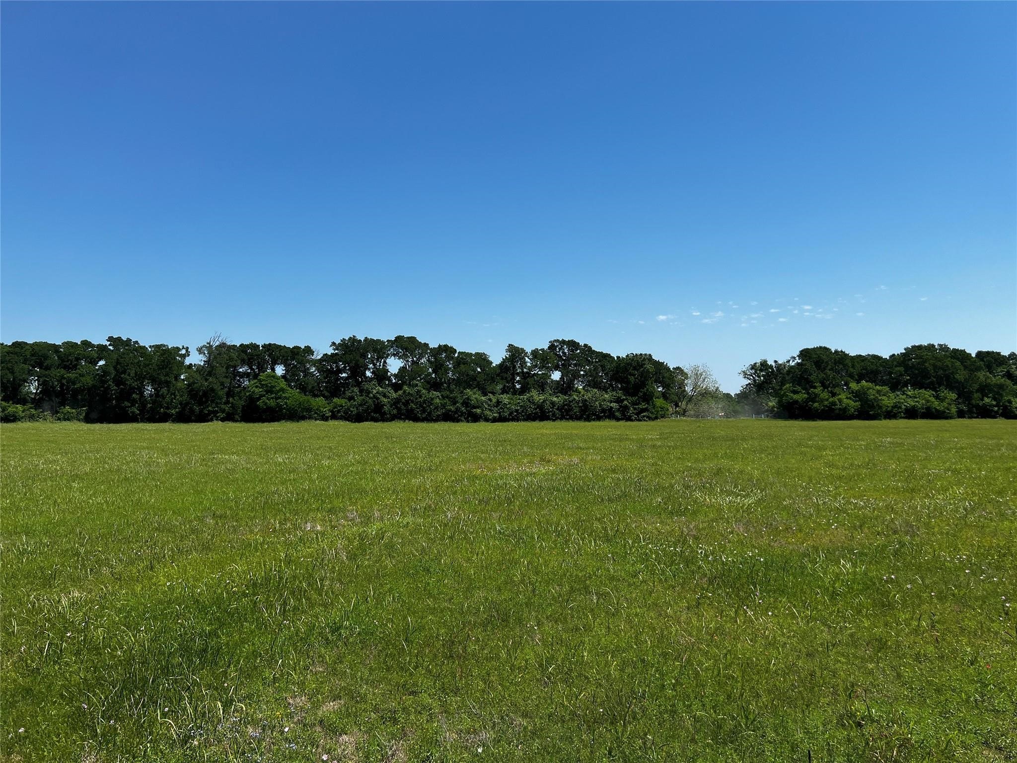 0 Meyer Road Sealy, TX 77474 - Photo 9 of 14 a view of field with grass