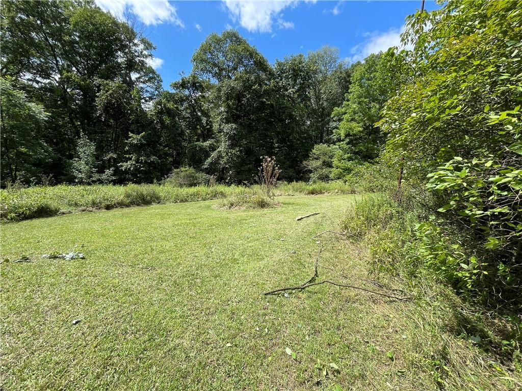 151 Lake Clair Lane Boyers, PA 16020 - Photo 6 of 10 a view of a big yard with large trees