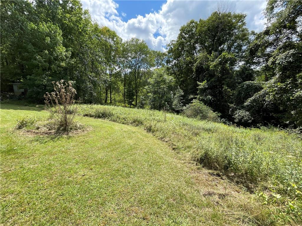 151 Lake Clair Lane Boyers, PA 16020 - Photo 9 of 10 a big yard with lots of green space and deers