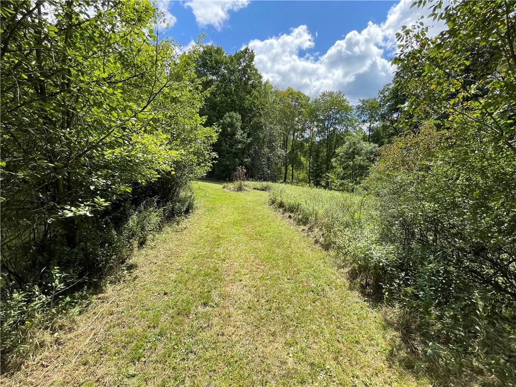 151 Lake Clair Lane Boyers, PA 16020 - Photo 10 of 10 a view of a yard with plants and a trees
