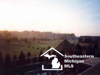 22101 Otter Road Belleville, MI 48111 - Photo 8 of 18 839479-7.JPG