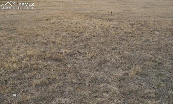 Tbd Mulberry Road Calhan, CO 80808 - Photo 3 of 4