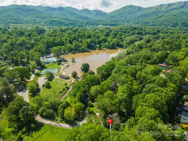 a view of a lush green field with lots of bushes