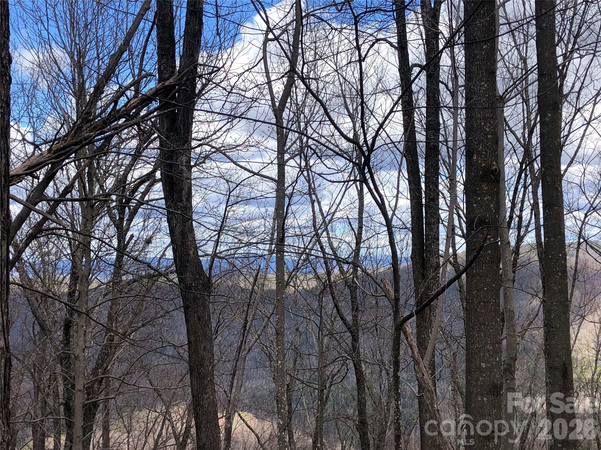 Tbd Bobcat Mountain Road, Unit 21 Purlear, NC 28665 - Photo 11 of 41