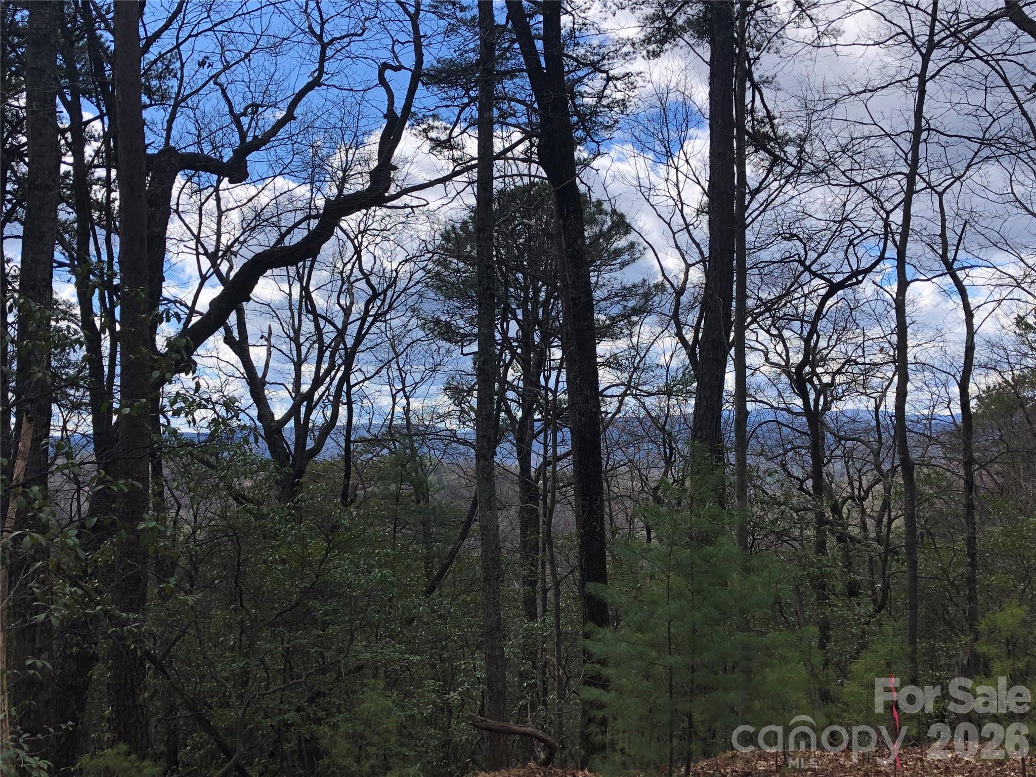 Tbd Bobcat Mountain Road, Unit 21 Purlear, NC 28665 - Photo 12 of 41