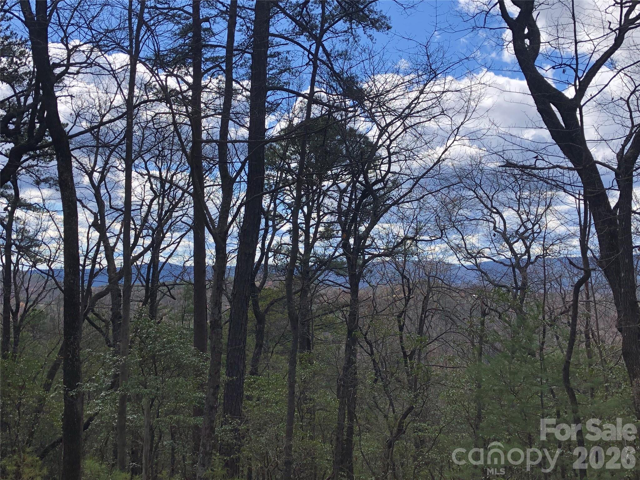 Tbd Bobcat Mountain Road, Unit 21 Purlear, NC 28665 - Photo 13 of 41
