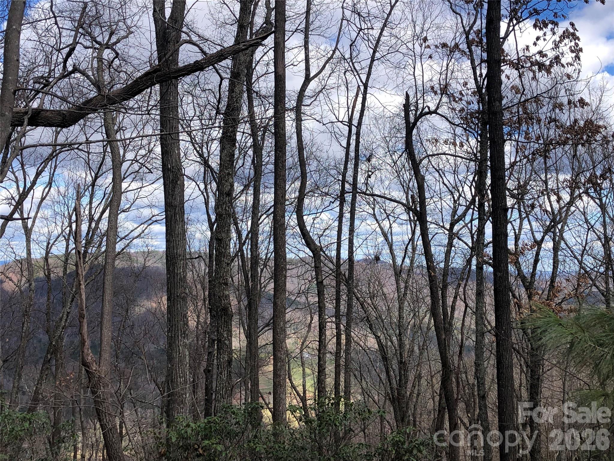 Tbd Bobcat Mountain Road, Unit 21 Purlear, NC 28665 - Photo 16 of 41