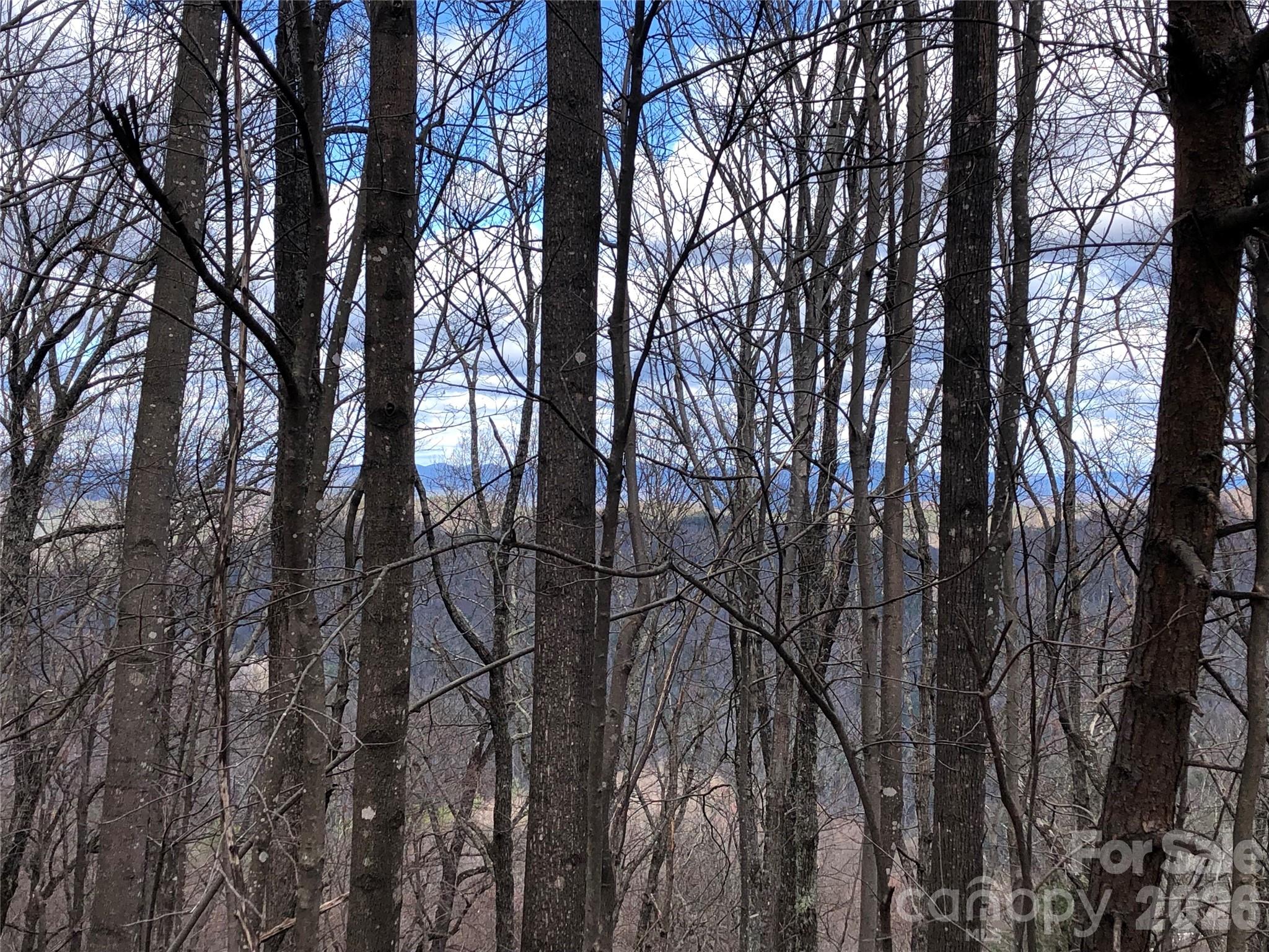 Tbd Bobcat Mountain Road, Unit 21 Purlear, NC 28665 - Photo 3 of 41