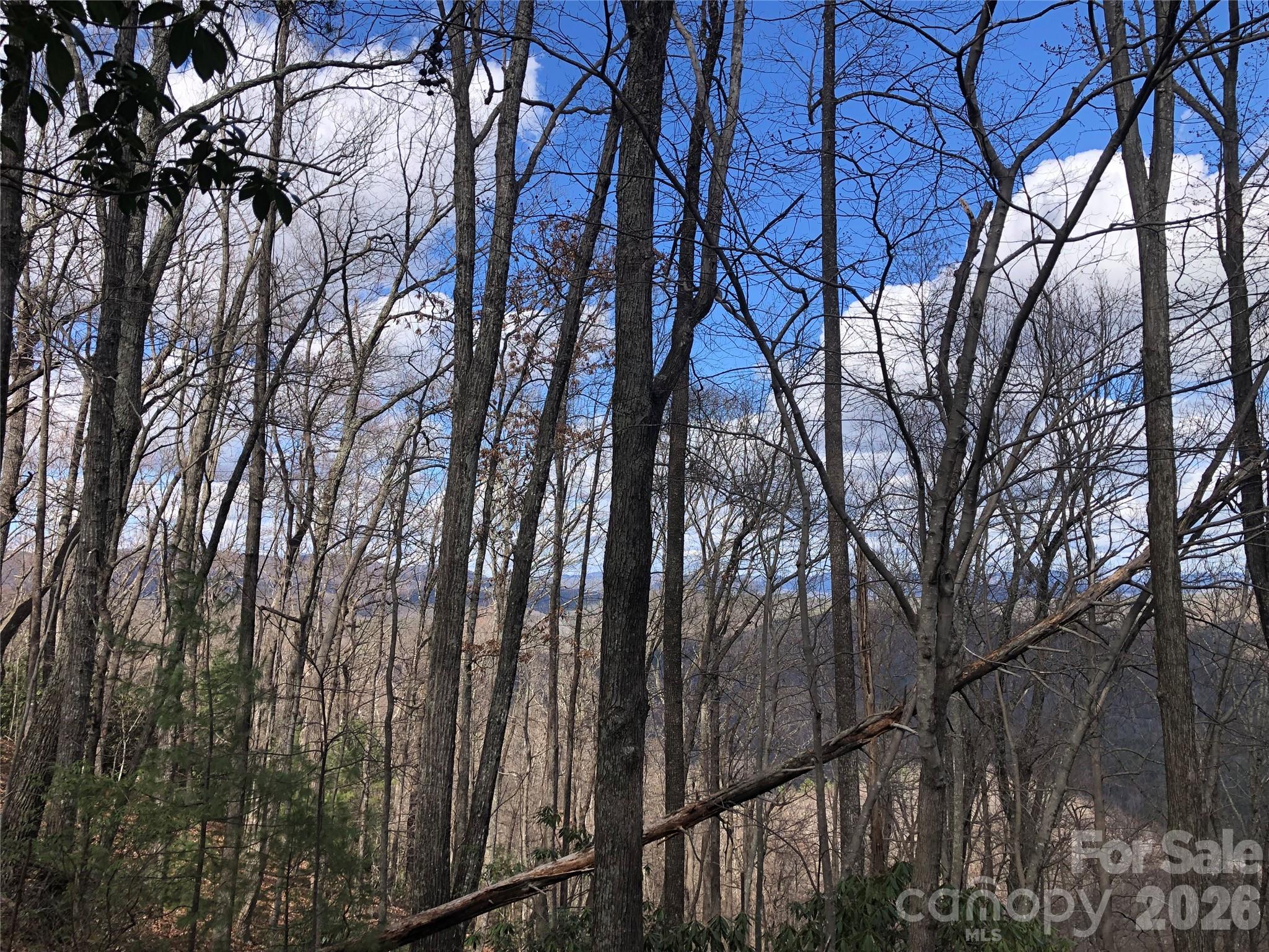 Tbd Bobcat Mountain Road, Unit 21 Purlear, NC 28665 - Photo 4 of 41