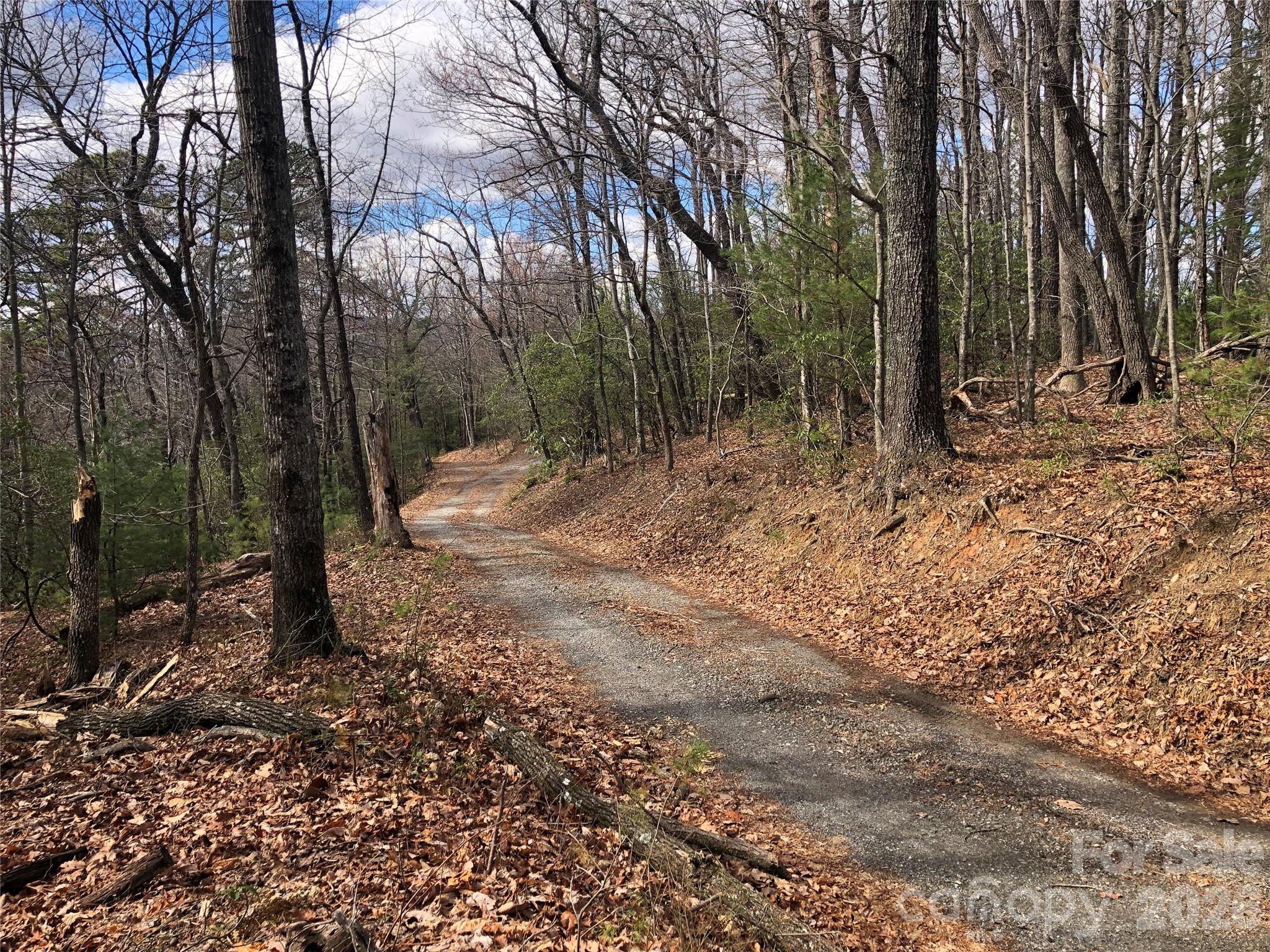 Tbd Bobcat Mountain Road, Unit 21 Purlear, NC 28665 - Photo 6 of 41