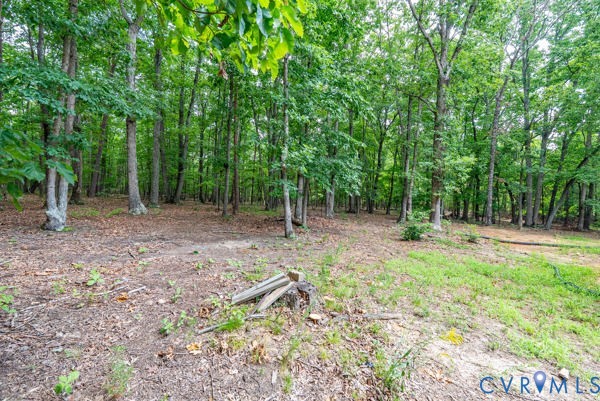 865 Sulphur Spring Road Prospect, VA 23960 - Photo 39 of 40