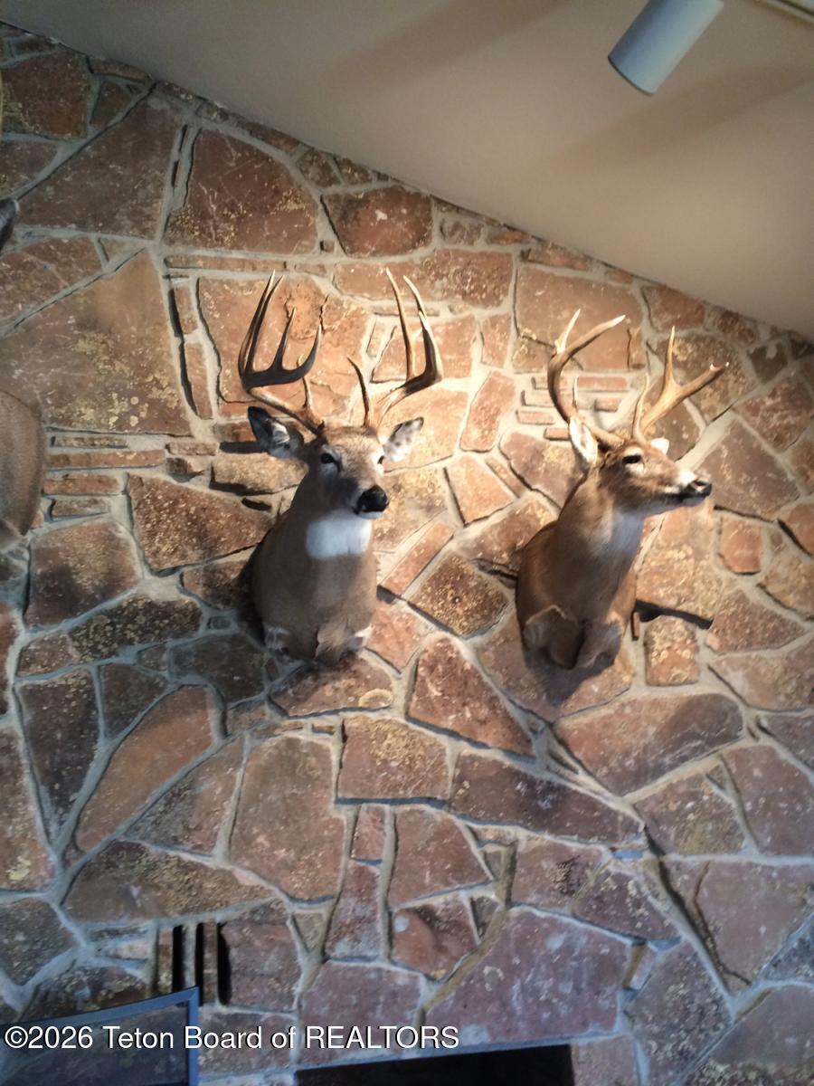 338 South Gas Hills Road Riverton, WY 82501 - Photo 17 of 34 11-4-23-21