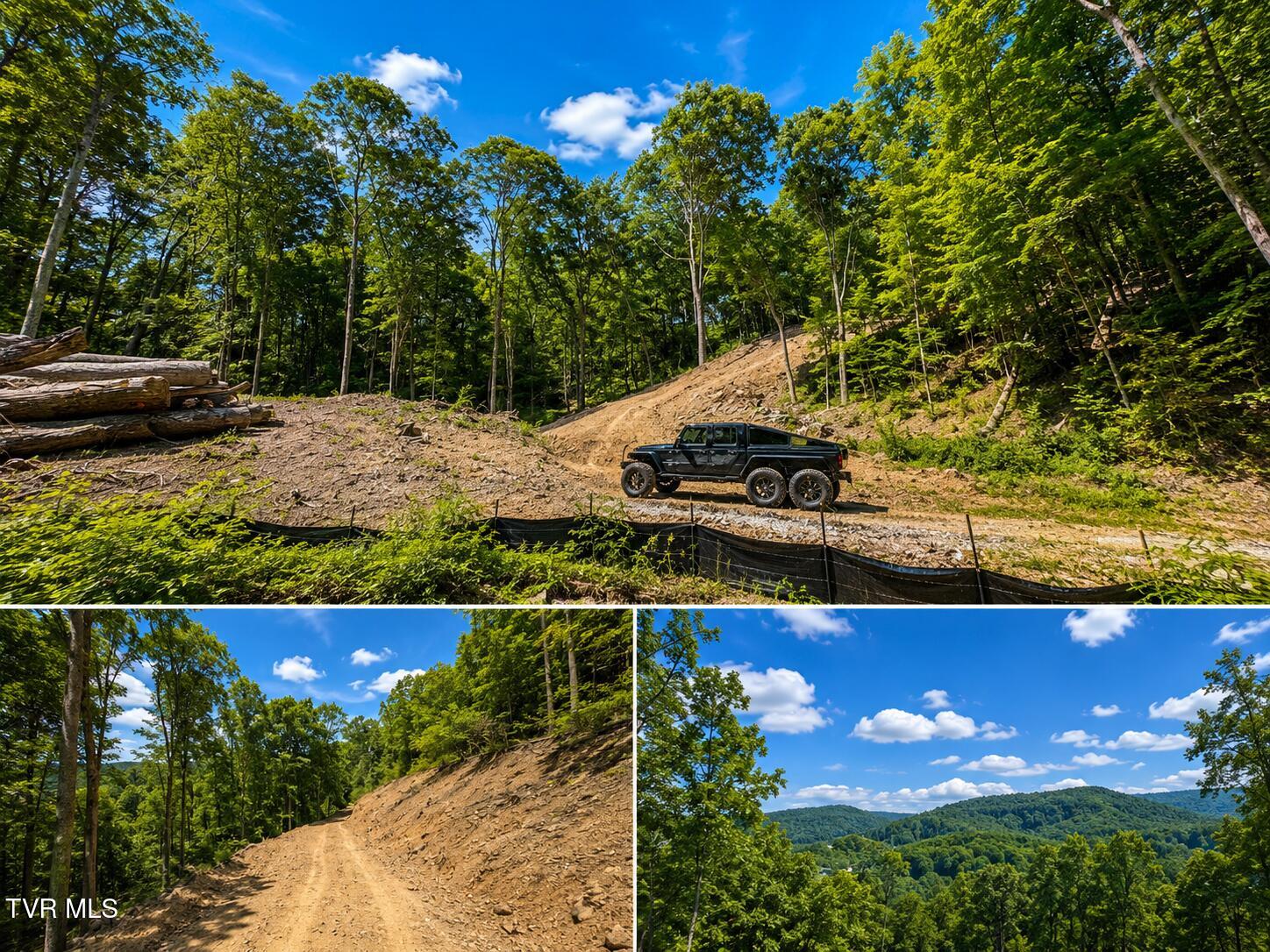 Tbd Heaton Branch Road Butler, TN 37640 - Photo 5 of 9 4523D355-4253-49FE-96F2-7366676FC890