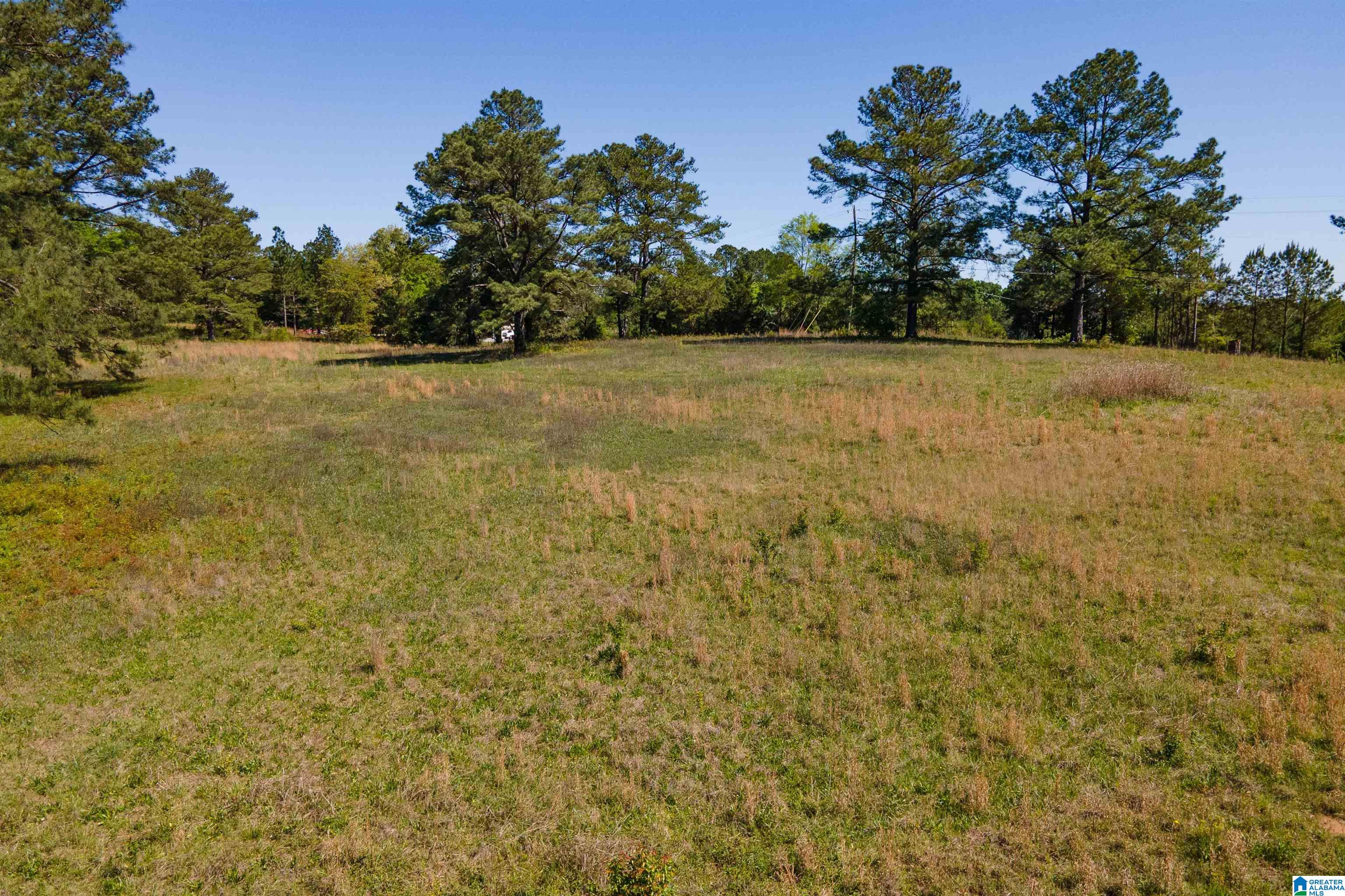 0 Sun Valley Road Harpersville, AL 35078 - Photo 23 of 24