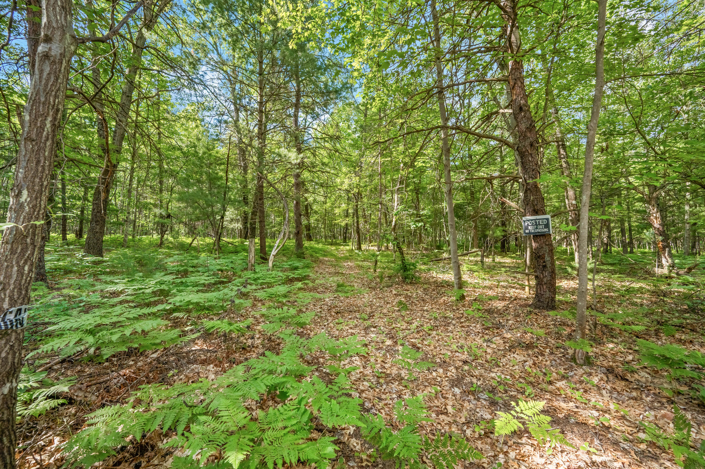 8642 East Kinney Road Branch, MI 49402 - Photo 26 of 32 8642-EKinneyRd-Branch-26