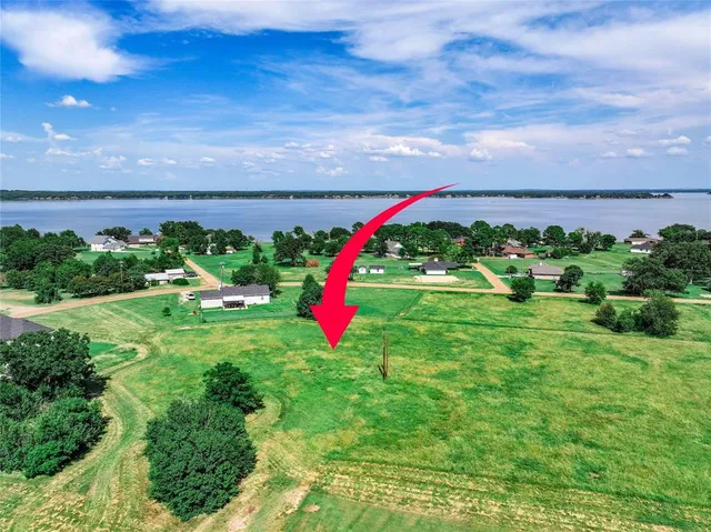 a view of a field with plants and trees