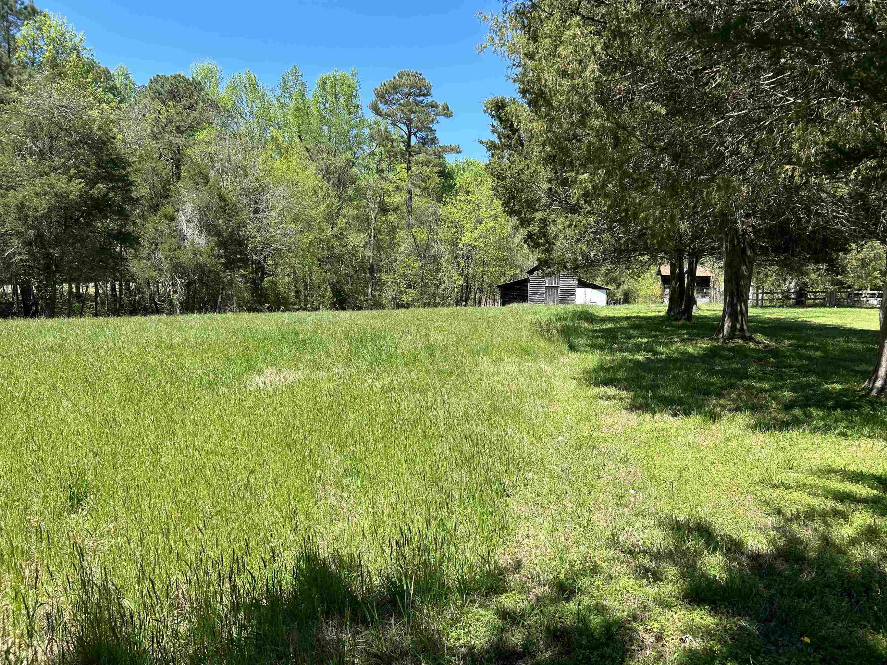 1414 Mason Road Durham, NC 27712 - Photo 3 of 16 a view of a big yard with large trees