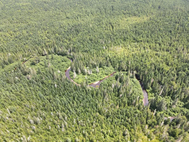 $115,000 | Lot43.12 Lot43.12 Jemptland Road, New Sweden, ME 04762