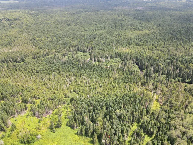 $115,000 | Lot43.12 Lot43.12 Jemptland Road, New Sweden, ME 04762