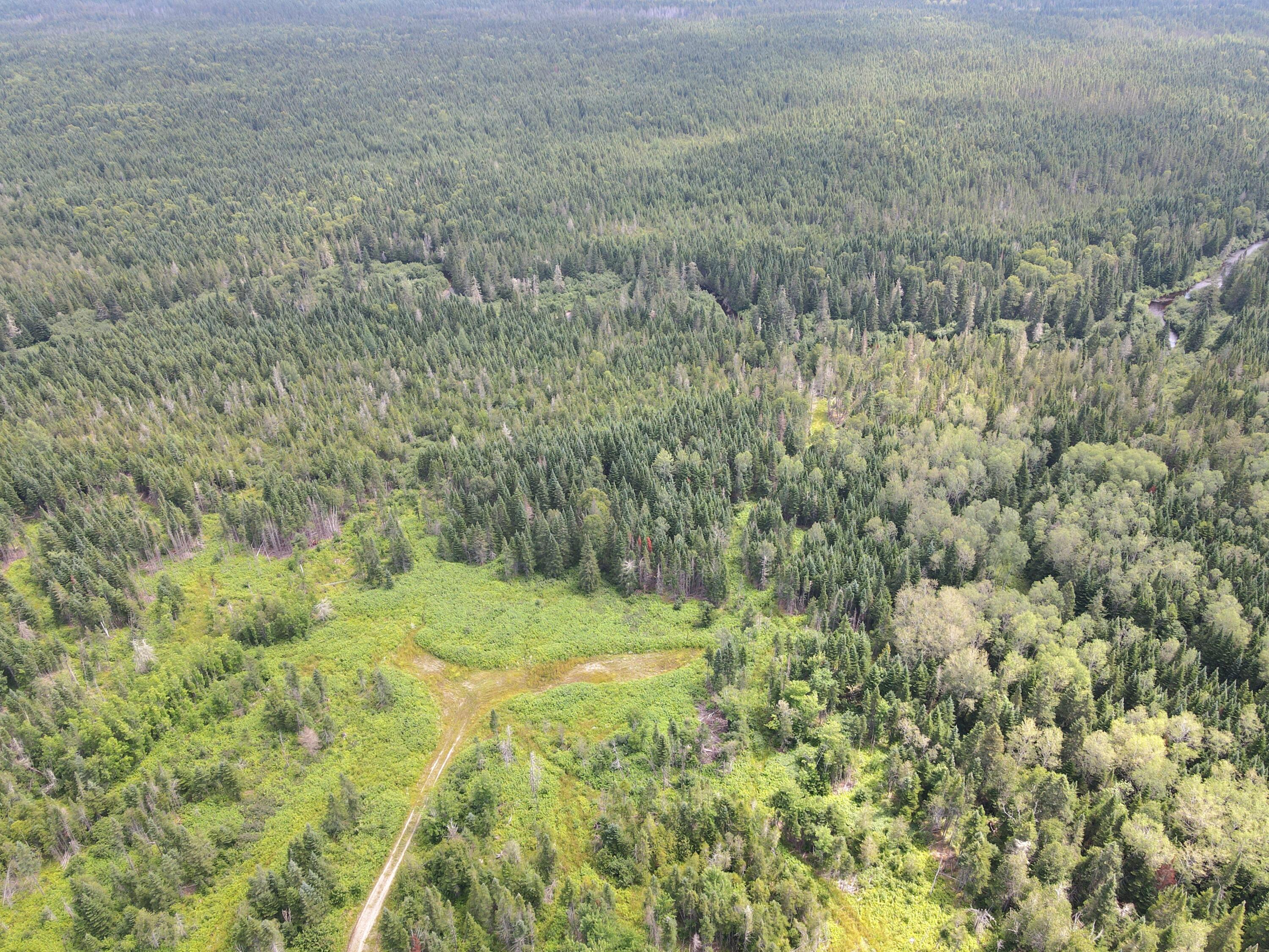 Lot43.12 Lot43.12 Jemptland Road New Sweden, ME 04762 - Photo 16 of 27 dji_fly_20240718_115904_951_172132094482