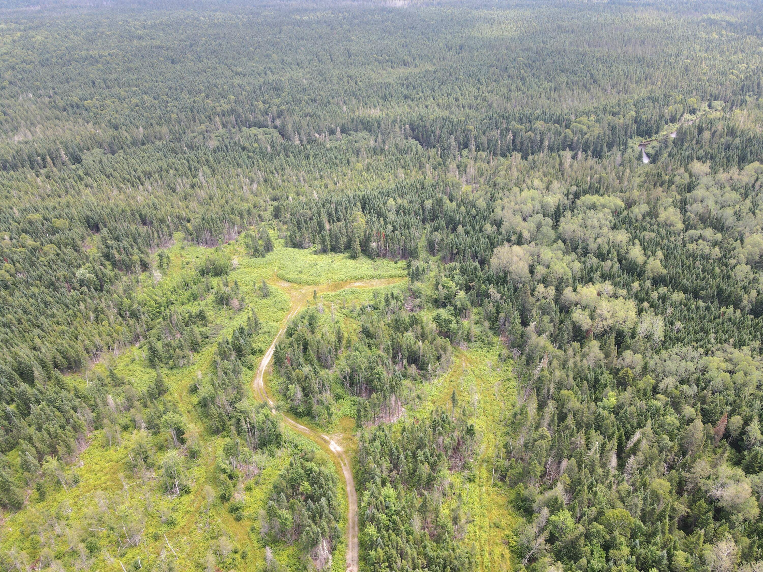 Lot43.12 Lot43.12 Jemptland Road New Sweden, ME 04762 - Photo 17 of 27 dji_fly_20240718_115852_950_172132094901
