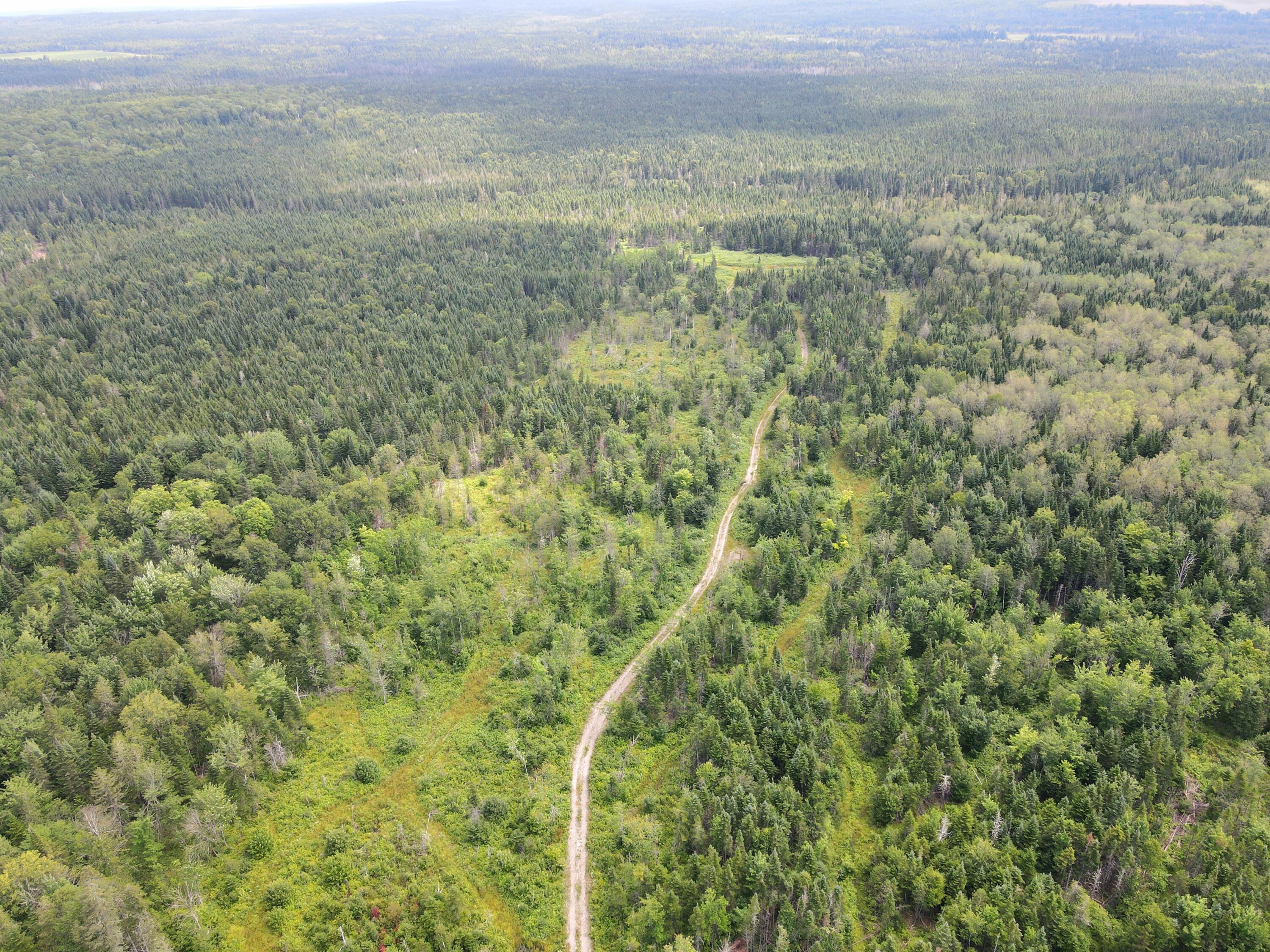 Lot43.12 Lot43.12 Jemptland Road New Sweden, ME 04762 - Photo 19 of 27 dji_fly_20240718_115736_936_172132097797