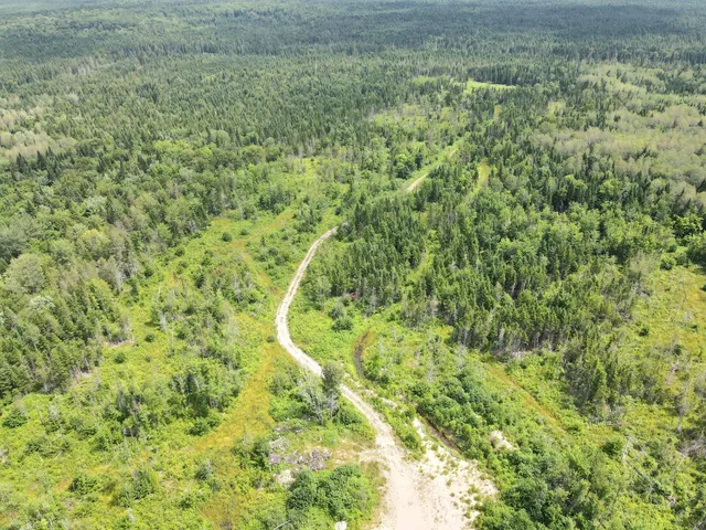 $115,000 | Lot43.12 Lot43.12 Jemptland Road, New Sweden, ME 04762