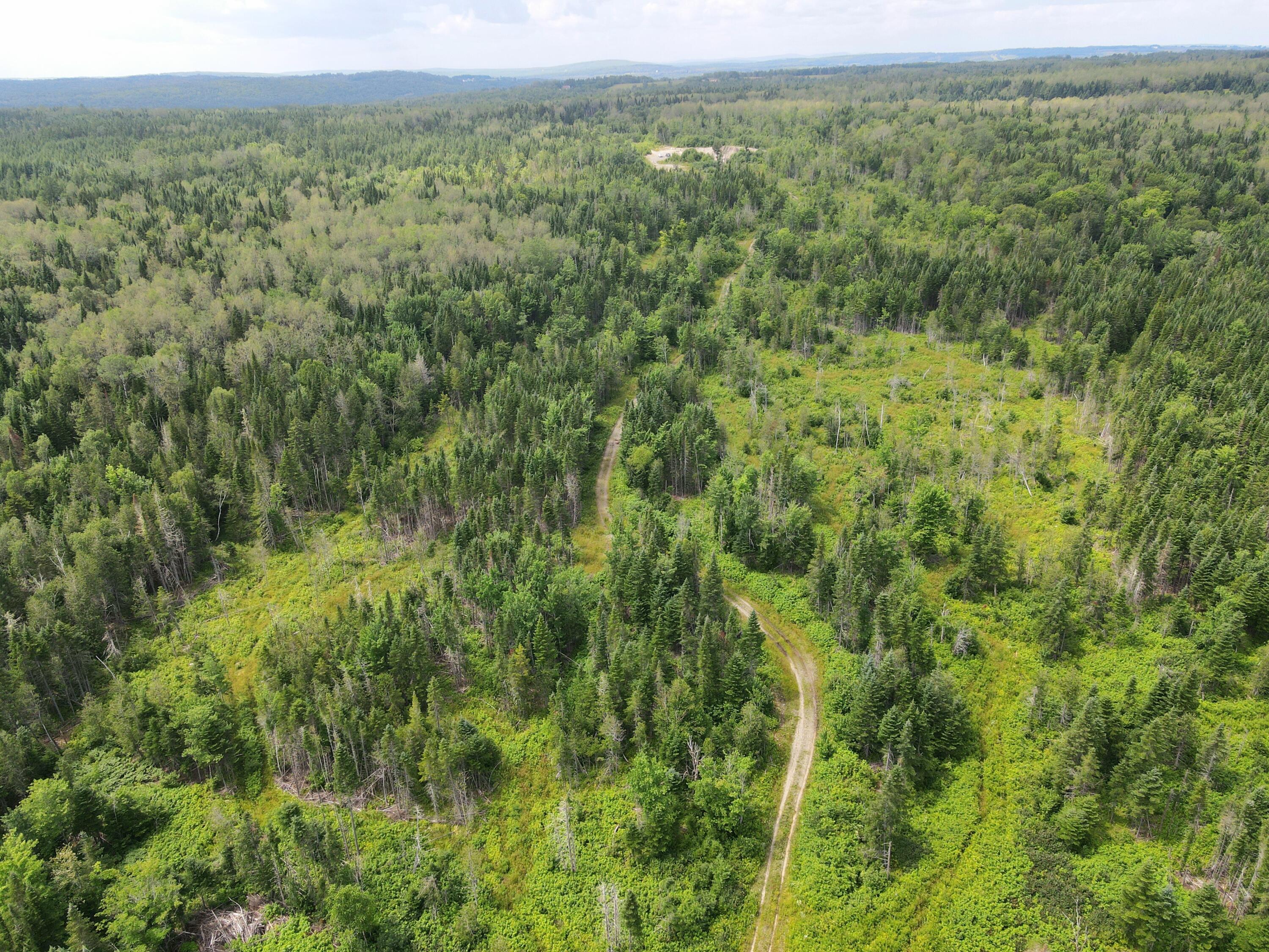 Lot43.12 Lot43.12 Jemptland Road New Sweden, ME 04762 - Photo 6 of 27 dji_fly_20240718_120256_997_172132081371