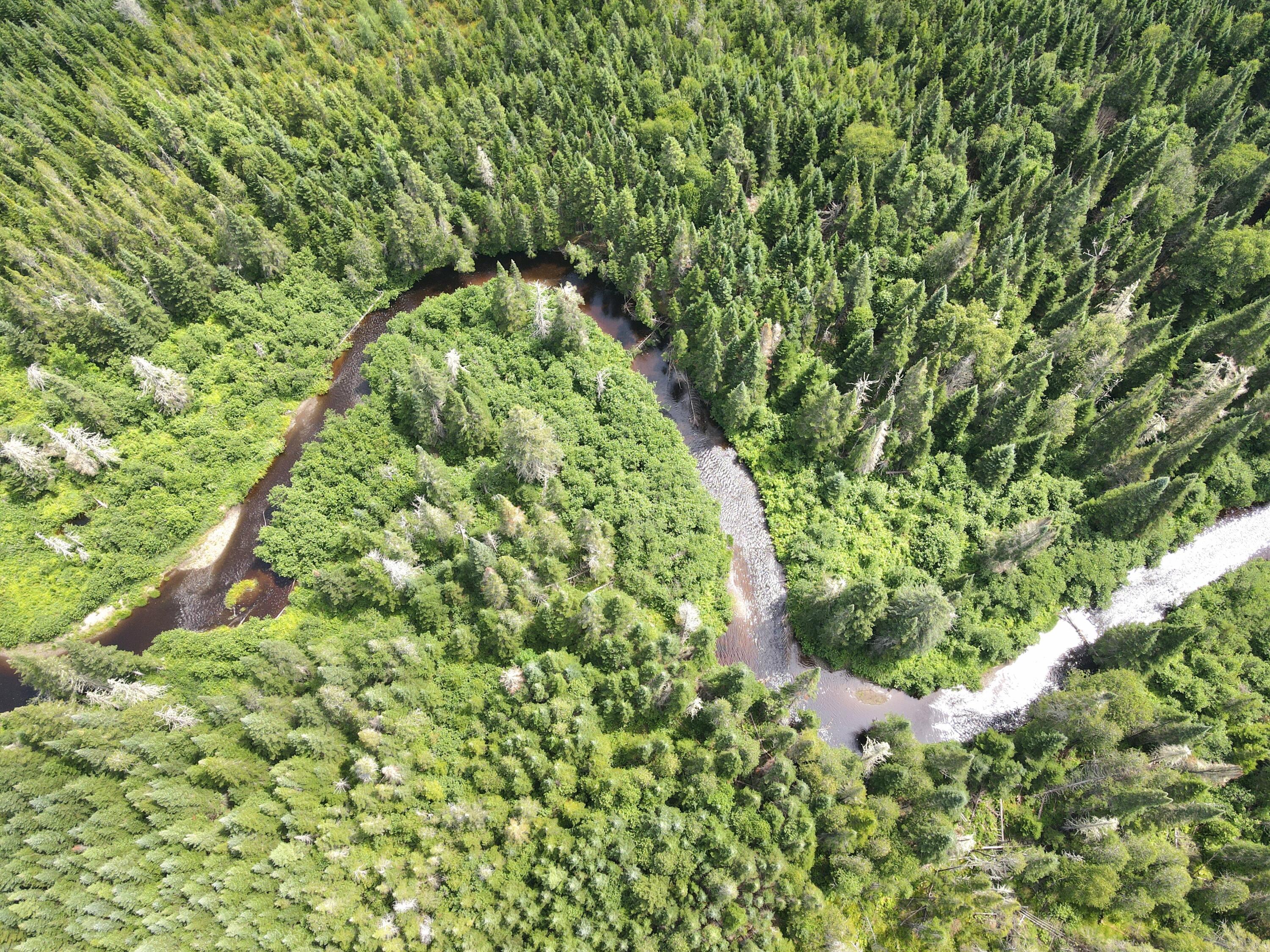 Lot43.12 Lot43.12 Jemptland Road New Sweden, ME 04762 - Photo 8 of 27 dji_fly_20240718_120154_987_172132083556