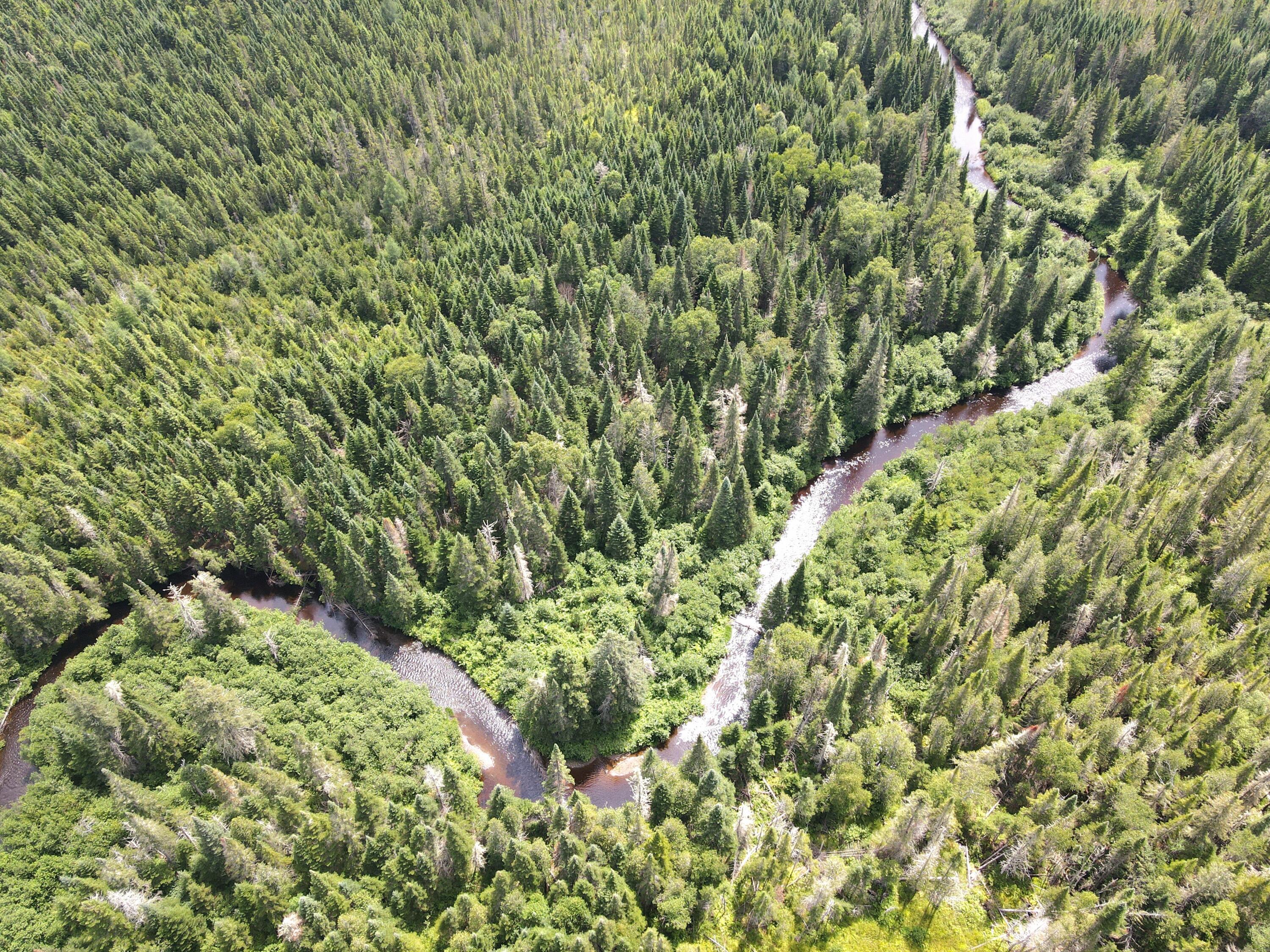 Lot43.12 Lot43.12 Jemptland Road New Sweden, ME 04762 - Photo 10 of 27 dji_fly_20240718_120102_974_172132086276