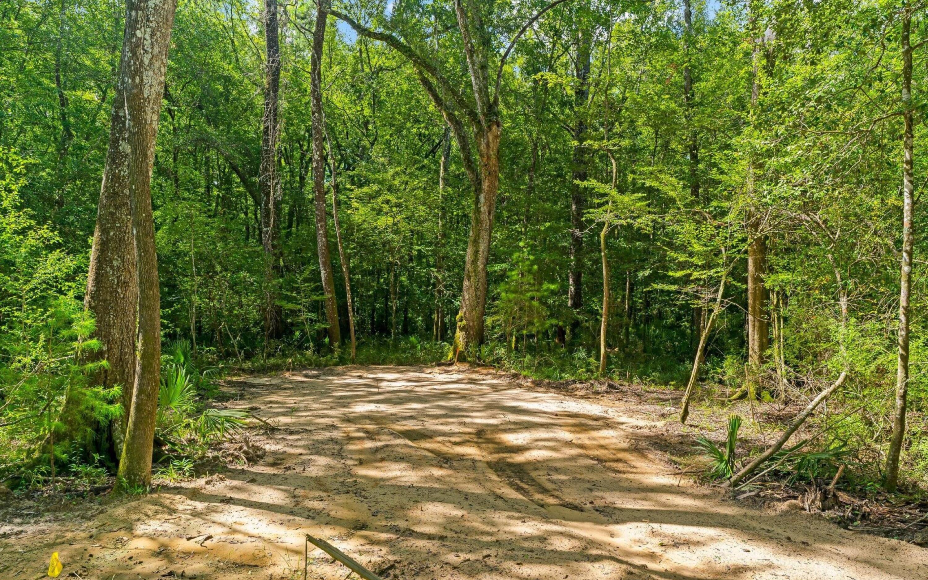 493 Choctawhatchee River Road Ponce de Leon, FL 32455 - Photo 27 of 35 a view of outdoor space with trees