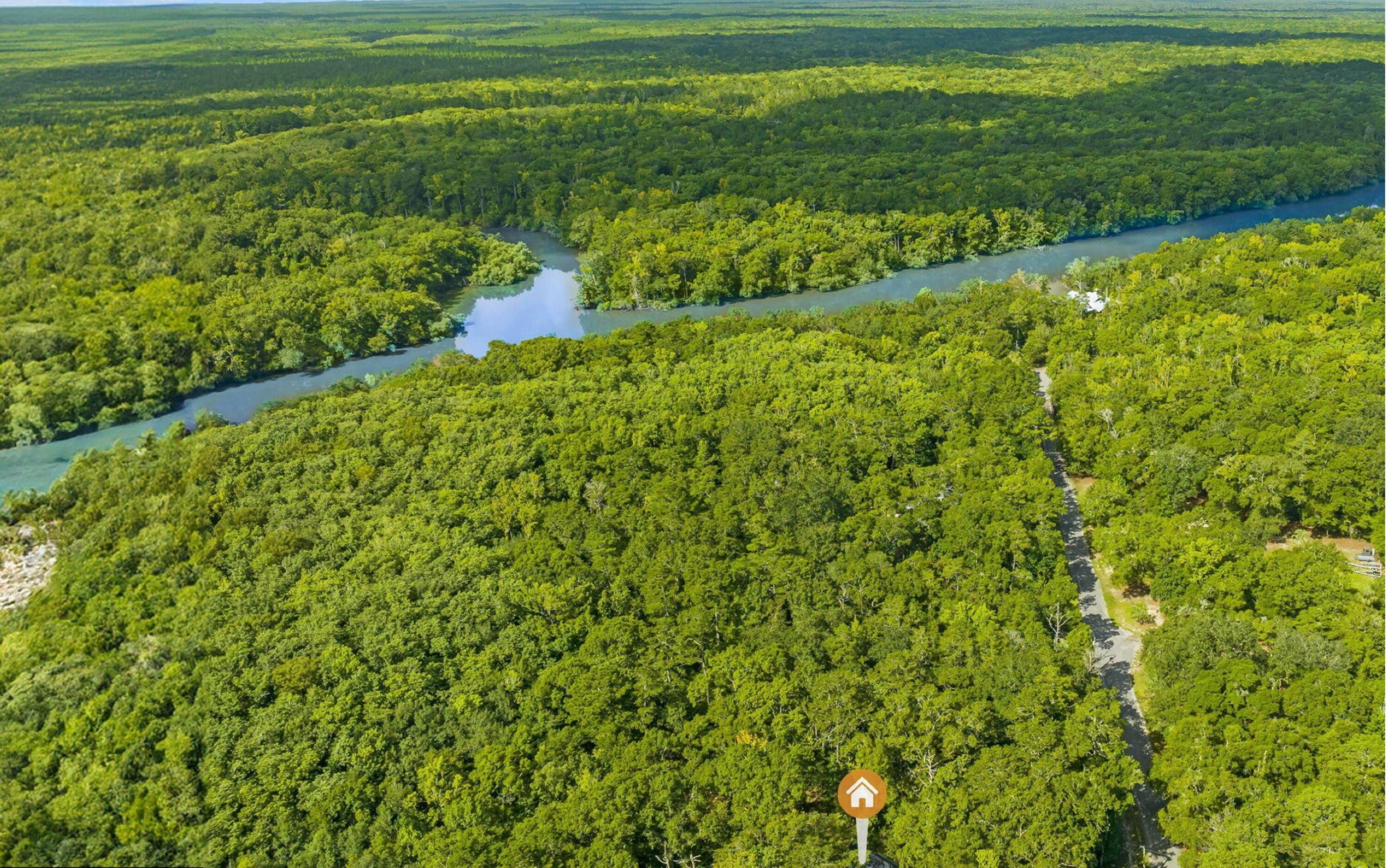 493 Choctawhatchee River Road Ponce de Leon, FL 32455 - Photo 28 of 35 a view of a garden