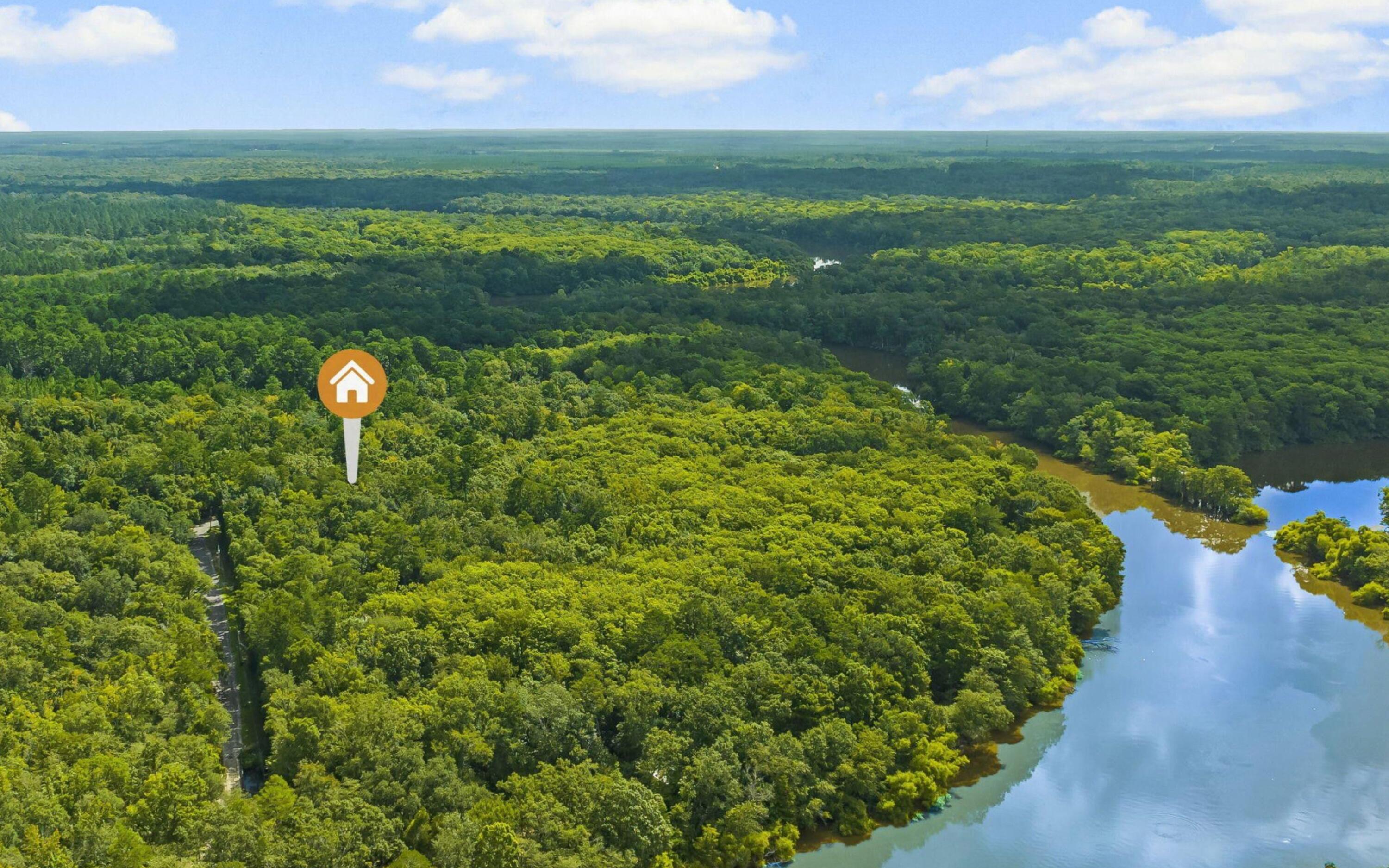 493 Choctawhatchee River Road Ponce de Leon, FL 32455 - Photo 29 of 35 a view of a garden with an outdoor space