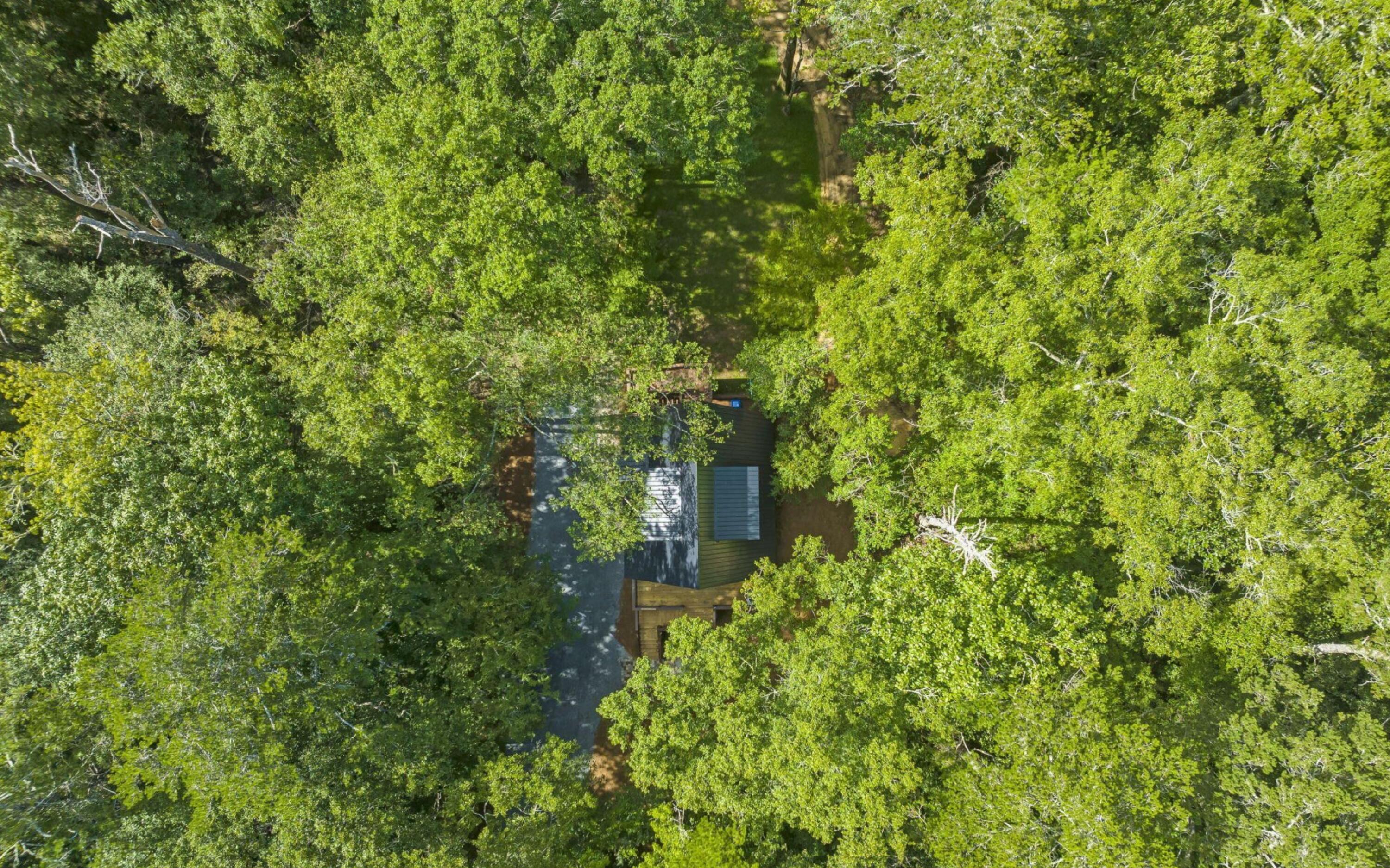 493 Choctawhatchee River Road Ponce de Leon, FL 32455 - Photo 30 of 35 a backyard of a house with lots of trees