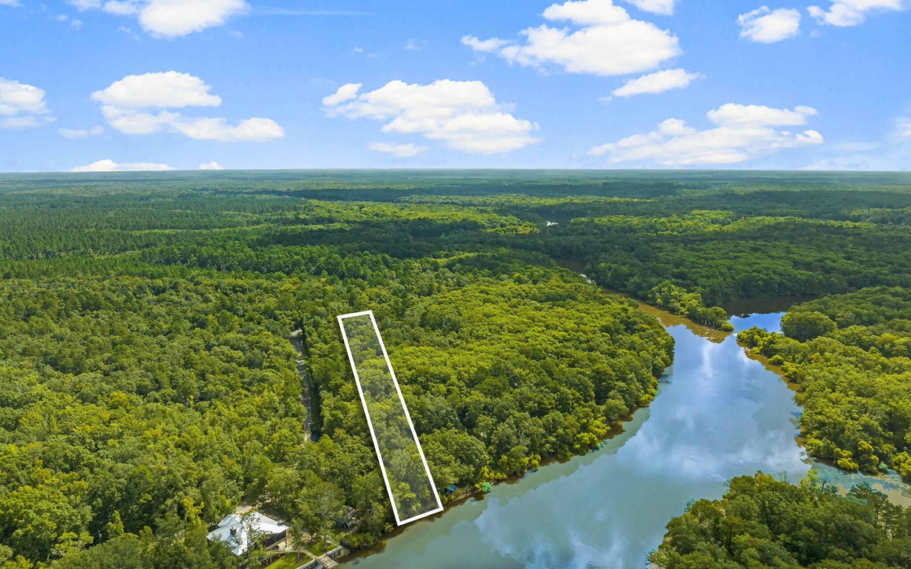 493 Choctawhatchee River Road Ponce de Leon, FL 32455 - Photo 31 of 35 a view of a garden