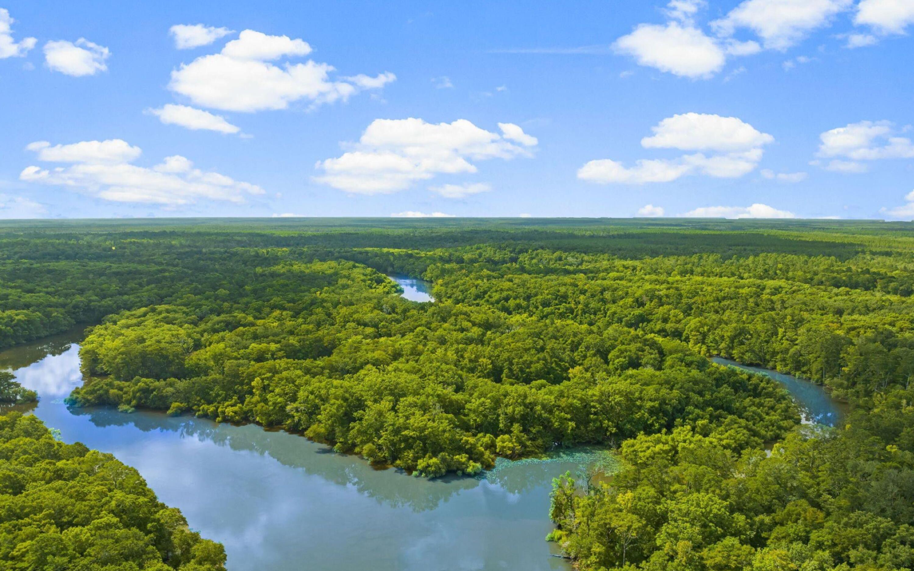493 Choctawhatchee River Road Ponce de Leon, FL 32455 - Photo 34 of 35 a view of a lake with a yard