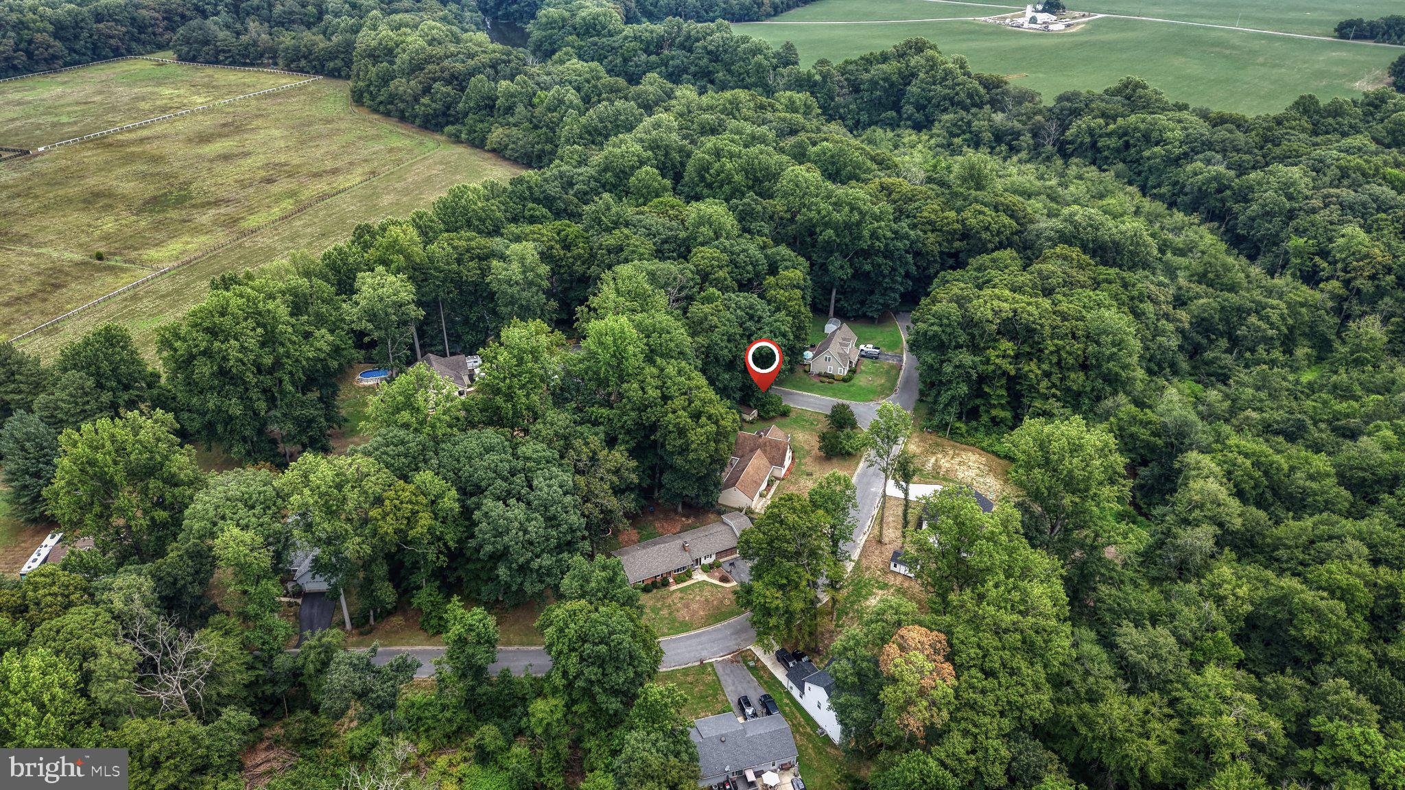 163 Pratts Branch Road Felton, DE 19943 - Photo 40 of 55 Serene wooded retreat awaits you.