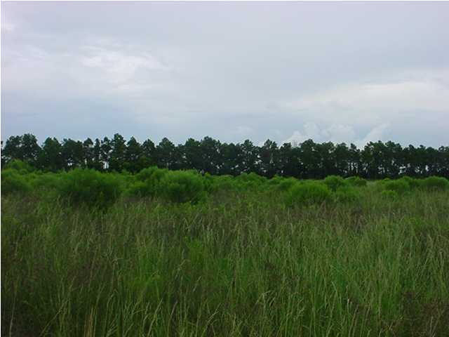 2133 Quarter Pole Road Rayne, LA 70578 - Photo 3 of 4 Additional Photo